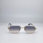 CT0338O - Santos de Cartier